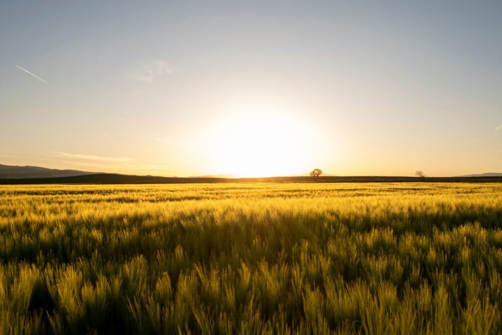 Illustrative land photography for the Listalyst property collection